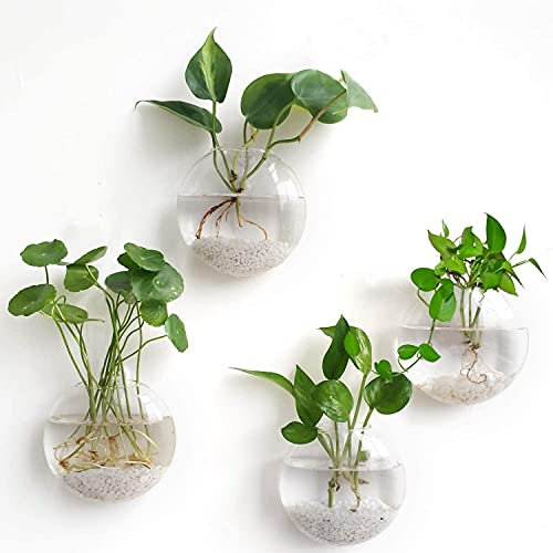 Terrarios colgantes, maceta de flores montada en la pared, macetas de burbujas de pared, soporte para plantas de aire, contenedor de plantas hidropónicas para decoración de pared(paquete de 4)
