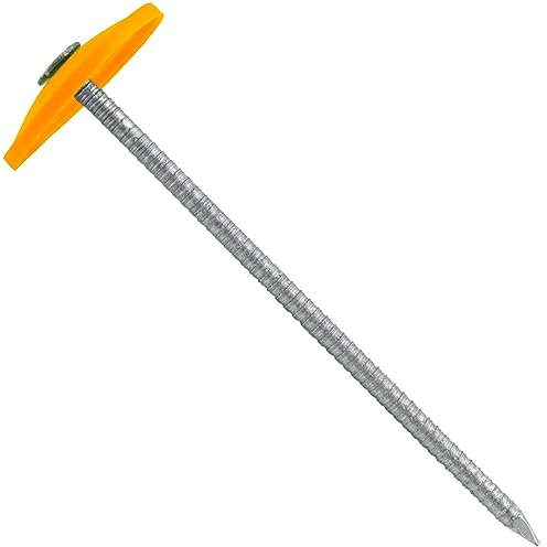 3 Inch Plastic Cap Ring Shank Nail - Small Box 1.2 POUNDS ~130 Nails