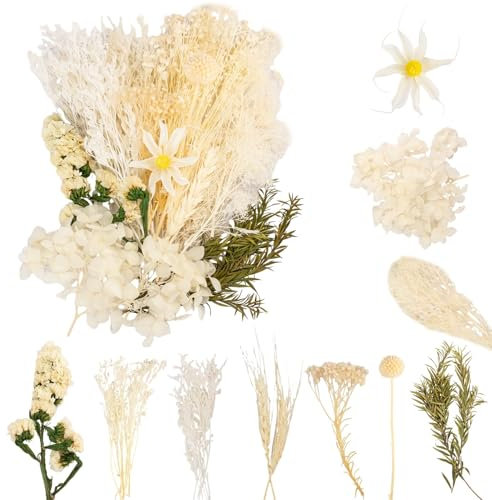 LAUMOE Trockenblumen, Getrocknete Blumen, Trockenblumen Zum Basteln Mini Trockenblumen Trockenblumen klein für Kunst Basteln DIY Harz Scrapbooking Handwerk Karten Mache