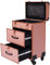 Kosmetikkoffer Trolley, Make Up Koffer Mit 2 Schubladen und 2 Schloss, Friseurkoffer Groß 36x23x58cm, Schminkkoffer mit Rollen 360° Drehbar, Große Kapazität (Roségold)