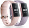 Faliogo 2 Pack Replacement Bands Compatible with Fitbit Charge 3 Bracelet/Fitbit Charge 4 Bracelet, Classic Sport Bands for Women Men, Large, Rosa/Lavender