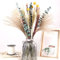 Pampasgras Getrocknet 55pcs Natürliche Trockenblumen Deko DIY Trockene Blüten Strauß,Pampasgras-Bouquet Schilfblume Deko Ideal for Boho Wohnzimmer-Schlafzimmer-und Vasen (LZGSGO-0101)