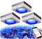 PopBloom RL90 WiFi Led Aquarium Beleuchtung 300W, Meerwasser Aquarium led volles Spectrum Aquarium Lampe mit Timer für Reef Coral SPS/LPS Fischaquarium,APP unterstützt Deutsch (3 Lampen mit Hängeset)