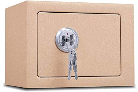 ZEDARO Safe Box Safes Safety Safe Storage For Your Valuables In This Realistic Hidden Plug Socket Stash Box - Multi-Color - 23X17X17Cm,Black