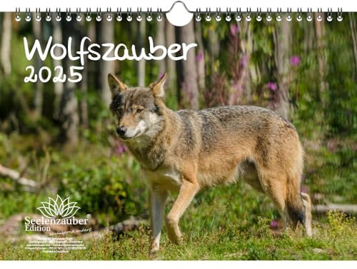 Wolfszauber DIN A4 Kalender für 2025 Wolf und Wölfe - Geschenkset Inhalt: 1x Kalender, 1x Weihnachtskarte (insgesamt 2 Teile)
