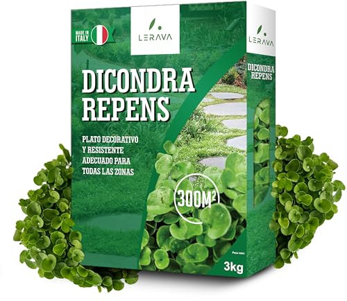 LERAVA® Dichondra repens semillas [No es necesario cortar] - 300m² - Resistencia a la sequía - Semillas cesped de dichondra ideales para zonas sombreadas y soleadas - Semillas de cesped - 3kg