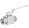 CWOQOCW Hydraulischer Hochdruck-Kugelhahn aus Karbonstahl, 2-Wege, 500 bar, NPT-Innengewinde (NPT 2,5–10,2 cm)