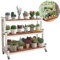 Pflanzenständer mit 3 Ebenen, Stahlregal für drinnen und draußen, Blumenhalter, Organizer für Balkon und Wohnzimmer, Garten, Regal, Leiter für Pflanzen