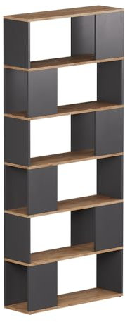 Vicco Raumteiler Eneos, Anthrazit/Goldkraft Eiche, 80 x 186 cm