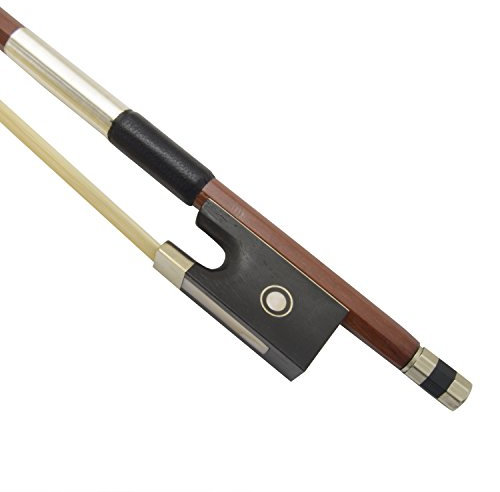 Theodore 4/4 Standard, colore Marrone (Brown)