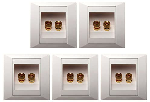5X Wanddose Anschluss Anschlussdose Port mit 2 Buchse fuer Bananenstecker Lautsprecher-