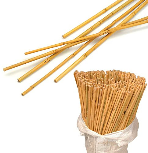 Bamboo Canes 5ft - Heavy Duty Garden Canes for Plants Flower Support Pole Sturdy Sticks Stakes Outdoor Indoor, Range of pack 10, 20,30,40,50,100 (10)