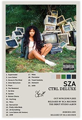 RIKCAT SZA Poster CTRL Poster Leinwand Poster Wandkunst Dekor Druck Bild Gemälde für Wohnzimmer Schlafzimmer Dekoration ungerahmt 20 x 30 cm