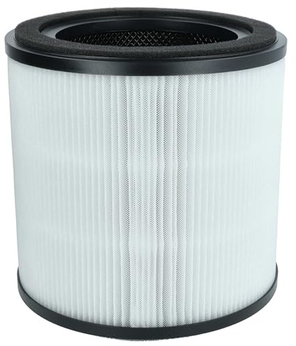 vhbw H13 Filter Ersatz für AEG AFFBRZ2 | AFFCAR2 für Luftreiniger - Ersatz-Filter
