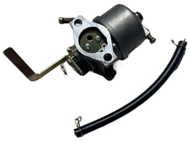 LiiZZi Vergaser mit Öl passend for PW0872400 2400PSI 171CC 175CC Hochdruckreiniger
