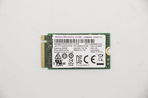 Lenovo UMIS AM620 256G PCIe 2242 SSD, 5SS0W76183