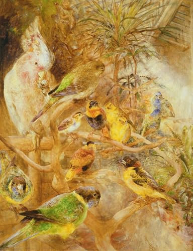POSTERIIk Vintage Leinwand Ölgemälde Poster Kunstwerke Vogelvoliere von William Huggins Druckgrafik für Wohnzimmerdekoration 60x90cm