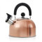 BRANDANI 54557 Bollitore in Acciaio Inox, Multicolore