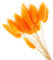YIWOYI 50 Stück Ewige Blumen, getrocknetes Gras, langer Zweig, natürliche getrocknete Blumen, bunte Plüschblumen, Kaninchenschwanz, Fuchsschwanz, Gras für Heimdekoration (Orange)