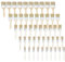 lesolar Multi Pack Paint Brushes - 50pcs Wooden Paint Brushes Bulk,Synthetic Paint Brush Set,Disposable Paint Brush in Five Sizes,Flat Paint Brushes for Paint,Stains,Varnishes,Glues and Home DIY