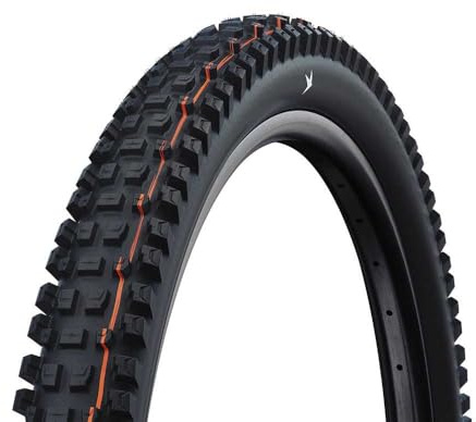 SCHWALBE Albert Gravity PRO, TLR
