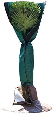 Bio Green Stammschutz für Palmen und Bäume | schützt vor Wind, Regen, Feuchtigkeit, Schnee und Frost | atmungsaktiver Vliesmantel für Stämme bis Ø 35 cm | 150 cm hoch