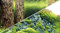 Hobby 31030 Fotorückwand-Zuschnitt Scaper's Hill / Scaper's Forest