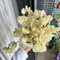 semillas de guisantes de olor perennes, guisantes olor - plantas jardín rocas resistentes semillas arveja flores pradera plantas interior Decoración sala estar con abejas en el prado 100pcs