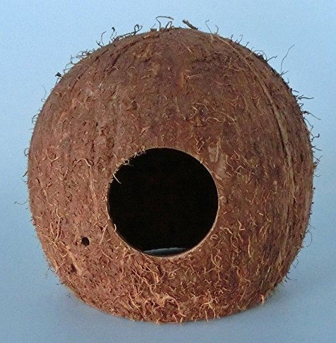 Kokosnuss Höhle Terrarium Dekoration (M (ca. 10 - 12 cm))
