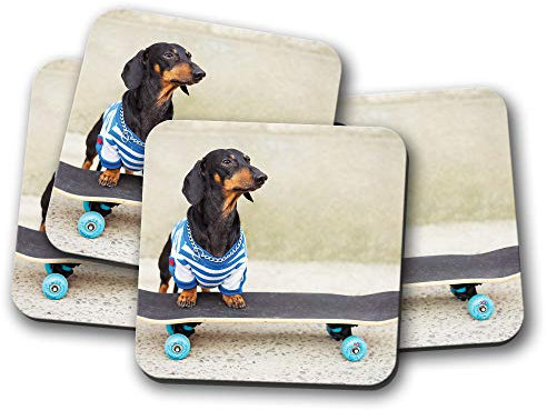 #13274 Untersetzer, Motiv: Dackel / Skateboard, 4 Stück