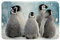 Pinguin Mikrofaser Badezimmerteppich Niedlich Pinguin Zottelig Saugfähiger Badteppiche Lustiges Tier rutschfest Badematte 50x80cm Für Erwachsene Polar Tier Boden Indoor Badvorleger Ultra Weich