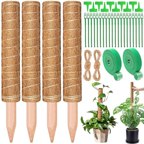 ZZQVIP Paletto Monstera, 4 PCS 40 CM Fibra di Cocco per Piante, con Cinghia di Collegamento, Fascetta per Cavi e Spago, Sostegno per Piante Paletto per Piante Rampicanti, Espandibile e Rimovibile