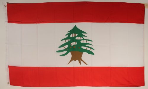 Buddel-Bini Flagge Fahne ca. 90x150 cm : Libanon brauner Baumstamm
