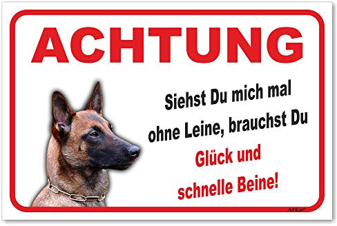 AdriLeo Schild - Vorsicht Malinois - Ohne Leine - (20x30cm) / Achtung Hund Wachhund robust langlebig UV-beständig wetterfestes Warnschild
