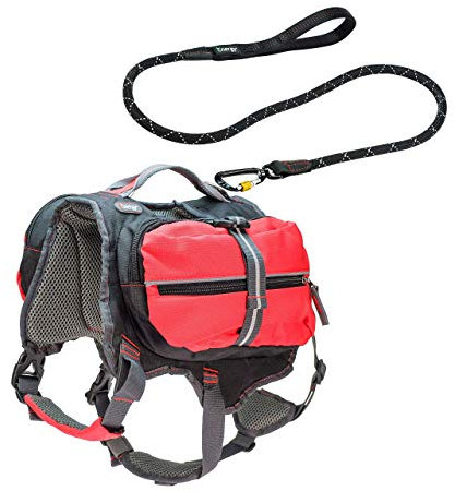 iEnergy™ MAL Rucksack für Hunde und iEnergy GEM, Deluxe Sport Leine (Mittel)
