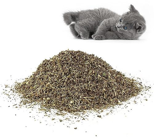 SEMINISMAR Herbe à Chat séchée,Herbe à Chat,Jouet Chat Herbe,Cataire pour Chats,Catnip,Herbe a Chat,A Utiliser comme Encas ou Jouet pour Le Chat, Plante d'herbes à Chat et Chaton Délicatement Séchée