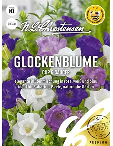 Glockenblume Cup & Saucer
