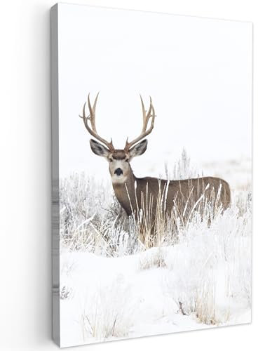 MuchoWow© Impression sur Toile Decoration Murale Peinture 80x120 cm Tableaux Decoratifs Muraux Déco Chambre Tableau Salon Cerf - Hiver - Neige - Animaux - Saisons - Blanc