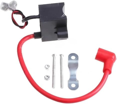 Für 49 Cc 50 60 66 80 2-Takt-Motor Motorisiert Mit Motorrad-CDI-Box Zünder Zündspule CDI Zündeinheit(B)