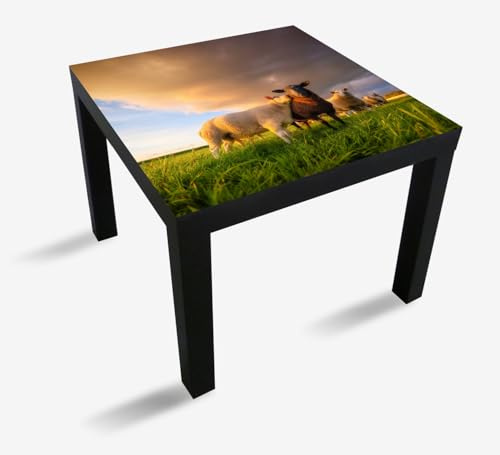 Wallario Möbelfolie selbstklebend/Aufkleber, Tischfolie geeignet für IKEA Lack Tisch - Möbeldeko Schafherde im Abendlicht in 55 x 55 cm