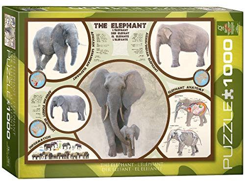 Puzzle 1000 Teile Der Elefant 00241 von Eurographics