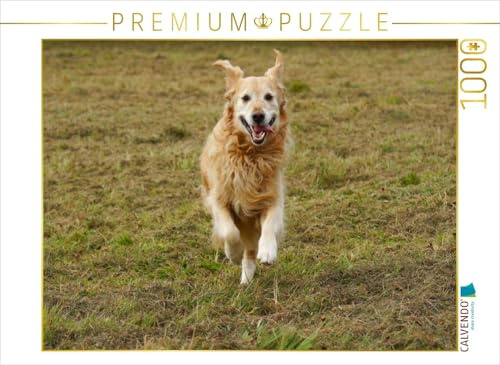 CALVENDO Puzzle Golden Retriever in Aktion | 1000 Teile Lege-Größe 64 x 48 cm Foto-Puzzle für glückliche Stunden