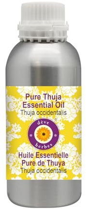 Deve Herbes Pure Thuja Essential Oil (Thuja occidentalis) Steam Distilled 300ml (10 oz)