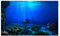 Fdit Aquarium Hintergrund, Aquarium Unterwasser Dekoration 21 im Aquariumhintergrund für die Wand 122 * 61cm