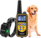 Collier de Dressage pour Chien avec Beep Vibra Choc collier dressage chien étanche et Rechargeable Collier télécommande 800 Verges Collier Electrique pour Chien pour la formation de chien (Jaune)