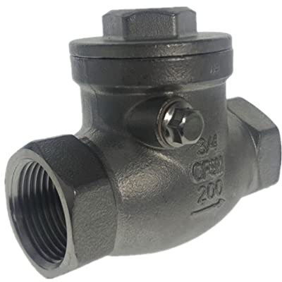 CZDIQXVF 1 Stücke BSPT 1-1/2 DN40 PN16 CF8M Gewinde Rückschlagventil 200PSI Edelstahl SS304 Weibliche Rückschlagventil(DN40)