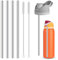Straw Replacement Compatible with Owala Water Bottle (23.5cm for 40oz)