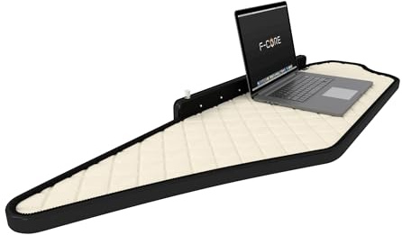 F-CORE Tablettes Tableau de Bord Camion compatibilité pour Mercedes ACTROS MP 5 01.19- Double Panneau LED 24V Champagne