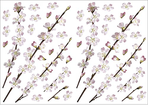 PLAGE 157019 STICKERS - WALL ADHESIVE - Apple tree, 2 Sheets, 29,7 x 21 cm