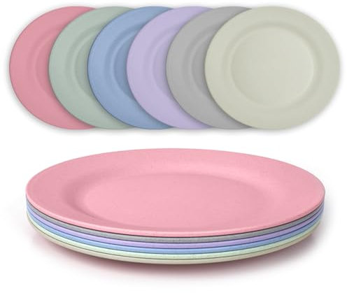 JSYMJSY Teller Set, 6Teilig 25cm Speiseteller Bruchfest, Plastik Essteller Mehrweg, Camping Teller Anti-Fallen, Leicht, Kunststoff BPA-Frei Mikrowellenfest Spülmaschinenfest, Bunt